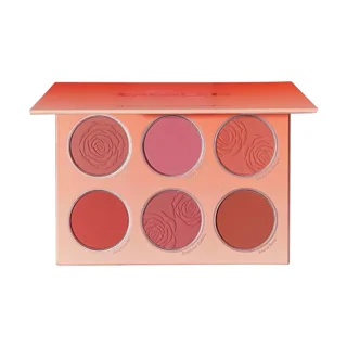 پالت رژ گونه مات شیگلم مدل Floral Flush